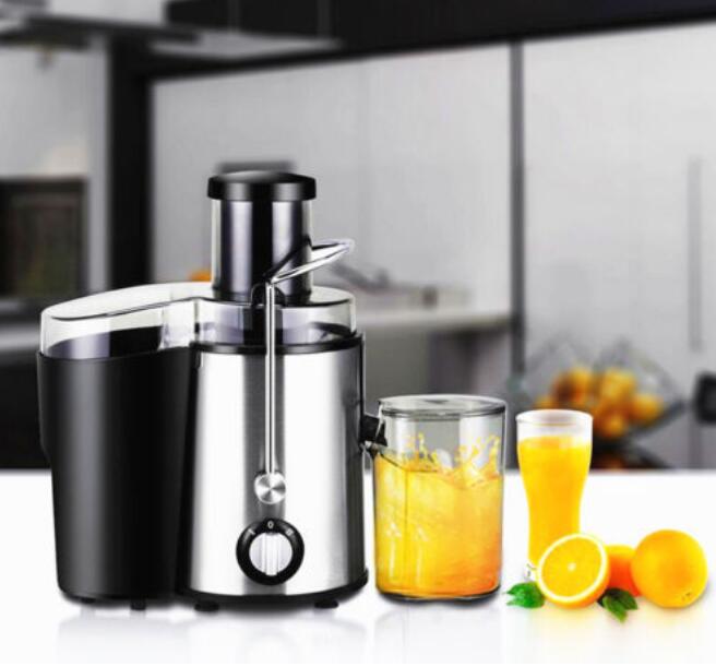 Stainless Steel Whole Fruit Dual Speed Juicer Vegetable Citrus Juice