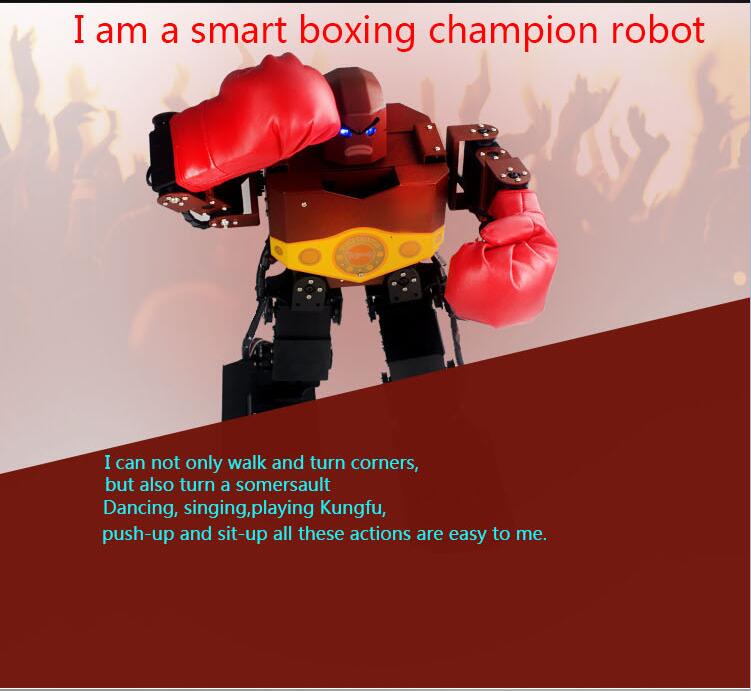16 DOF Humanoid Robot Frame Contest Dance Robot with Boxing Glove Hood for DIY 