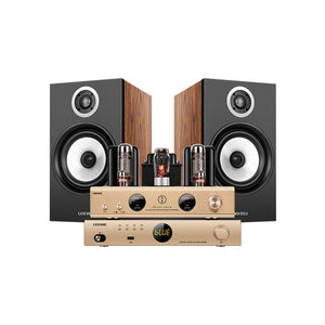 UOTANG D538 Set (2PCS T118Pro 6.5-Inch Bookshelf Speakers + MK8500 12Wx2 Tube Amp + MT908 DAC or MT901 CD Player)