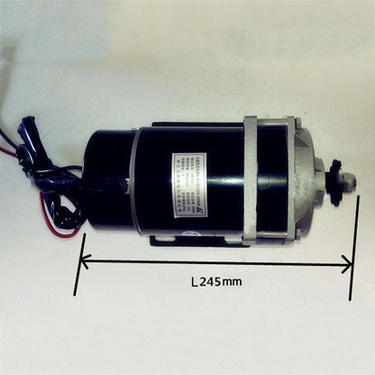 600W 48V Electric Motor for Bicycle Permanent Magnet DC Brush Motor MY1120ZXF for E-Tricycle
