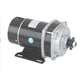 Permanent Magnet Electric Motor for Bicycle DC Brush Motor MY1020ZXFH 450W 48V for E-Tricycle
