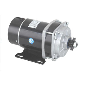 Permanent Magnet Electric Motor for Bicycle DC Brush Motor MY1020ZXFH 450W 48V for E-Tricycle
