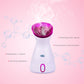 Fruit Vegetable Facial Steamer Humidifier Hot Mist Steam Sprayer Nano Spray Face Atomizer Steaming