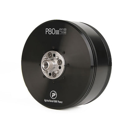 P80III Pin 100KV Brushless Motor Dustproof Waterproof for Agriculture UAV Power