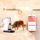 4L Automatic Pet Feeder Timer Smart Pet Feeder with WIFI Camera Cat Dog Water Food Feeder