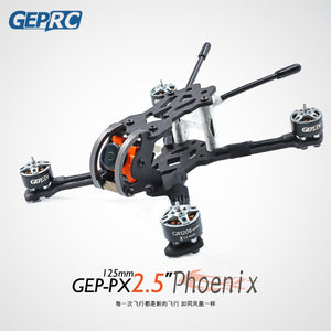 125mm Wheelbase FPV Drone Frame Kit Unfinished for 2.5 Inch Propellers Ture X Structure GEP-PX2.5