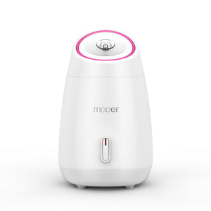 Facial Steamer Fruits Vegetables Spray Hot Mist Steam Nano Sprayer Face Atomizer Steaming MR-Z1