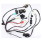 QUAD ATV Wiring Harness Kit Electric Start Ignition Coil for ATV Apollo Motocross 110-125CC