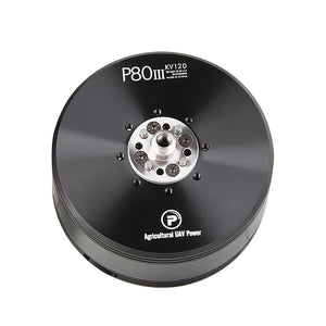 P80III Pin 120KV Brushless Motor Dustproof Waterproof for Agriculture UAV Power