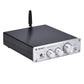 100W*2 Bluetooth HiFi Amplifier DAC Headphone Amplifier Amp BT5.0 PA-01 Silver + Power Cord Adapter