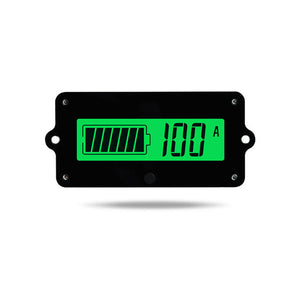 Coulometer Battery Capacity Indicator Capacity Voltage For Various Batteries (80V 100A Sampler)