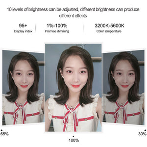 10.2&quot; Ring Fill Light LED Fill Light w/ Remote Control Phone Clip Ball Head For Studio Video PU455B