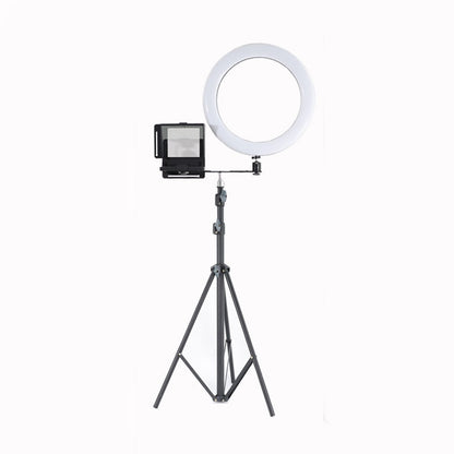 Smartphone Teleprompter Portable DSLR Camera Prompter with Tripod Fill Light for Recording Live
