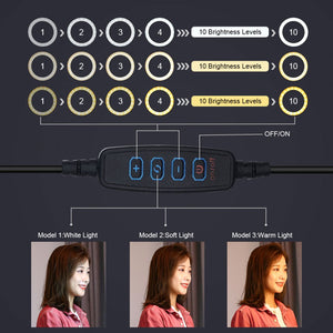 55.4&quot; Desktop Tripod Stand + 10.2&quot; Dimmable LED Ring Light w/ Tripod Ball Head &amp; Phone Clamp PKT3039