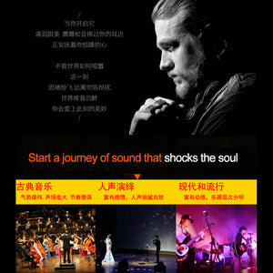 HiFi EL34 Vacuum Tube Power Amplifier Class A Push-Pull Integrated Power Amp 40W×2