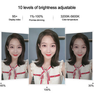 7.9&quot; Desktop Dimmable LED Ring Light with Stand Round Base Phone Clip Vlogging Selfie Light PKT3078B