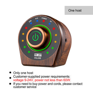 Bluetooth Power Amplifier Wood Grain HiFi 100W Class D Amplifier Digital Mini Pow Amp for Home Audio