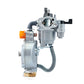 Maxgeek ER2500 168F 2KW LPG Carburetor Kit Manual Carburetor Dual Use Gasoline Water Pump Engine Parts