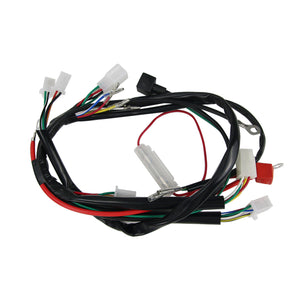 ATV Wiring Harness Kit QUAD Dune Buggy Wiring Harness Ignition Coil CDI for 50 70 90 110CC