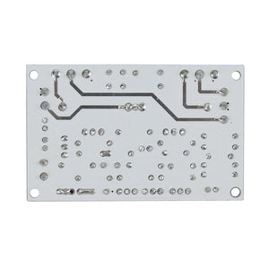 100W 2SC5200+2SA1943 Audio Amplifier Board HiFi Mono Channel Post-Stage Amplifier with New Tube