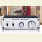 A3001 300W HiFi Power Amp Full Frequency/Active/Passive Subwoofer Amp Silver + 32V 5A Power Adapter