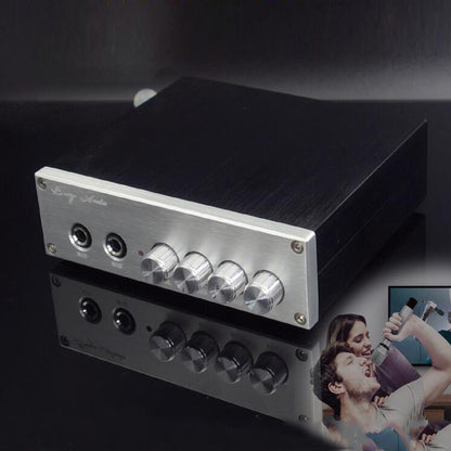 OM1 Standard Version TPA3116 Karaoke Amplifier Digital Power Amp 100W+100W Without Power Adapter