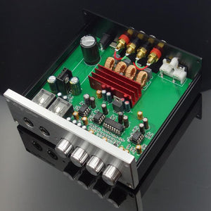 OM1 Standard Version TPA3116 Karaoke Amplifier Digital Power Amp 100W+100W With Power Adapter