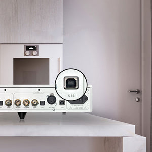 DENAFRIPS GAIA USB Digital Interface Digital Player High Power High Definition DAC Decoder Silver