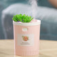 Dr-01 Succulents Humidifier 350ML Mini Air Humidifier Diffuser Night Light Simulation Potted Plant