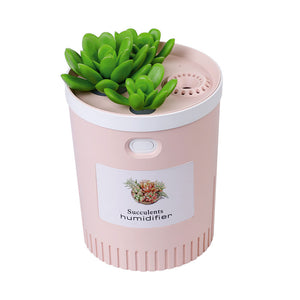 Dr-01 Succulents Humidifier 350ML Mini Air Humidifier Diffuser Night Light Simulation Potted Plant