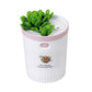 Dr-01 Succulents Humidifier 350ML Mini Air Humidifier Diffuser Night Light Simulation Potted Plant