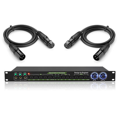 Analog Effector Two Pattern KTV Processor Home KTV Preamplifier Effector Mic Reverb For Cannon Cable