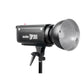 Godox DP300/110V 300WS Studio Strobe Monolight Flash Strobe Studio Flash Lamp Head For Bowens Mount