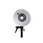 Godox DP300/110V 300WS Studio Strobe Monolight Flash Strobe Studio Flash Lamp Head For Bowens Mount