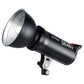 Godox DS300II/110V Studio Flash Light Photo Strobe Light For Wedding Portrait Product Photography