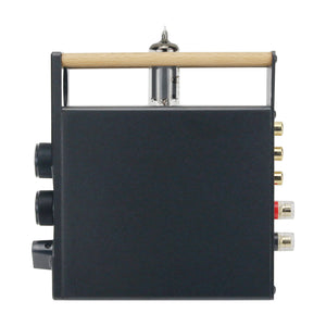 G10 Mono Amplifier Vacuum Tube Amplifier 200W Hifi Subwoofer Amplifier/Full Frequency Power Amp