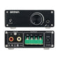 BRZHIFI MA12070 Amplifier High Power Digital Power Amplifier MA12070 Dual Channel HIFI Amplifier 80W*2 110V 220V