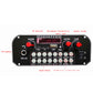 YXY-CYQ2 Trolley Audio Sound Card BT5.0 DAC Board 5V Charging with Reverb Multiple Sound Effects