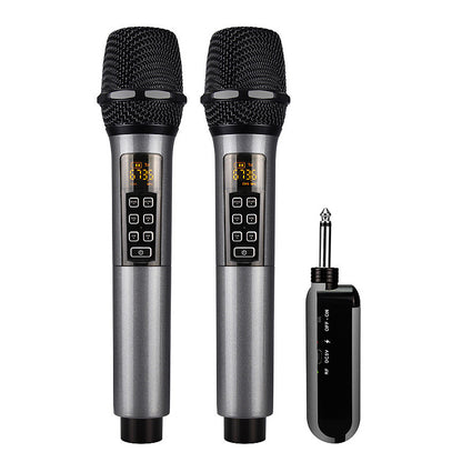 D300 50x2 Channels Stage Wireless Microphone System w/ 2 Microphones Adjustable Frequencies Reverb