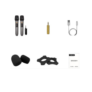 D300 50x2 Channels Stage Wireless Microphone System w/ 2 Microphones Adjustable Frequencies Reverb