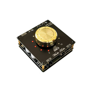 Wuzhi Audio ZK-F1002 Bluetooth Amplifier Module 100Wx2 Power Amp TPA3116D2 with Volume Indicator
