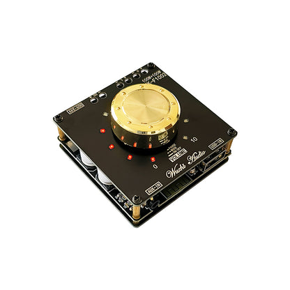 Wuzhi Audio ZK-F1002 Bluetooth Amplifier Module 100Wx2 Power Amp TPA3116D2 with Volume Indicator