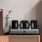 Smallstar SFC-1 High Performance Digital Power Amplifier with 6 Electronic Tube for HiFi Audio