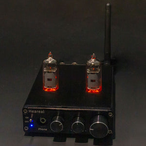 Heareal G3 200W Hifi Tube Amplifier Bluetooth Amplifier Two Channel Power Amp without Power Adapter