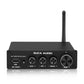 DA-1002C HiFi Digital Power Amplifier Support Bluetooth 5.0 &amp; USB &amp; Coaxial &amp; Optical Input without Power Adapter