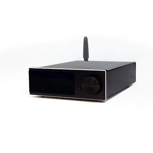 B51A Lossless U Disk Player BT5.0 ES9038Q2M DAC Headphone Amp (without Screen) for Phone APP