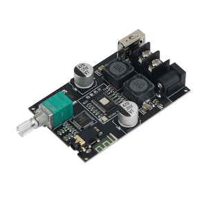 Wuzhi Audio ZK-1001B 100W Bluetooth Power Amplifier Board Mono Amp Board TPA3116D2 Supports TWS