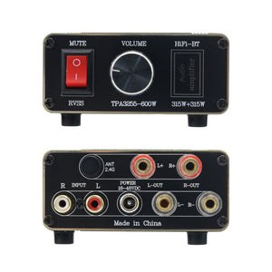 TPA3255 600W Hifi Digital Power Amplifier Power Amp Two-Channel Stereo Amplifier with Sturdy Shell