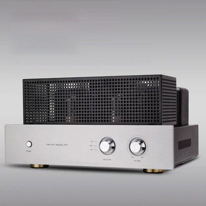 HiFi Bluetooth Power Amplifier Electronic Tube 6P6P x 4 + 6N9P x 2 Gallbladder Machine 5532 Operational Amplifier