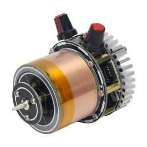 SSTC Artificial Lightning Tesla Coil New Version Mini-V2.0 with Power Supply Musical Dual Class-E Solid Educational Tool